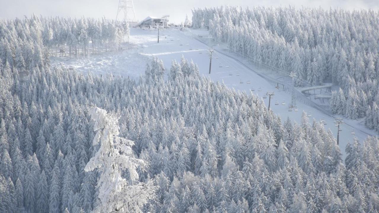 Premium-Ferienwohnungen Bergblick Im Haus Hopfe Goslar Dış mekan fotoğraf