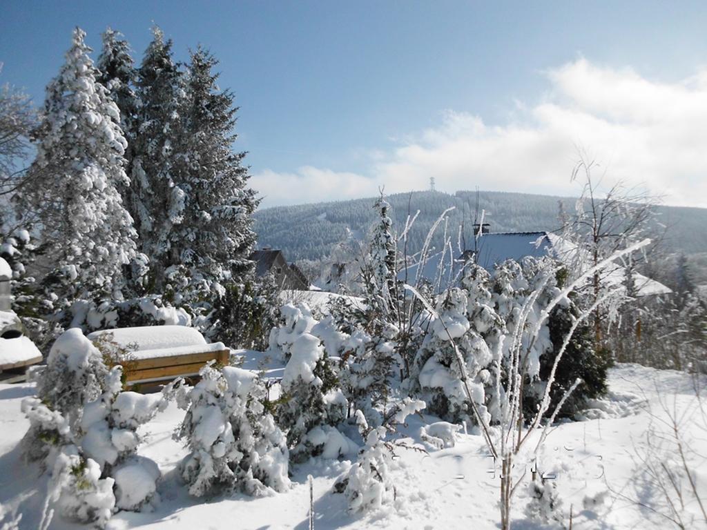 Premium-Ferienwohnungen Bergblick Im Haus Hopfe Goslar Dış mekan fotoğraf